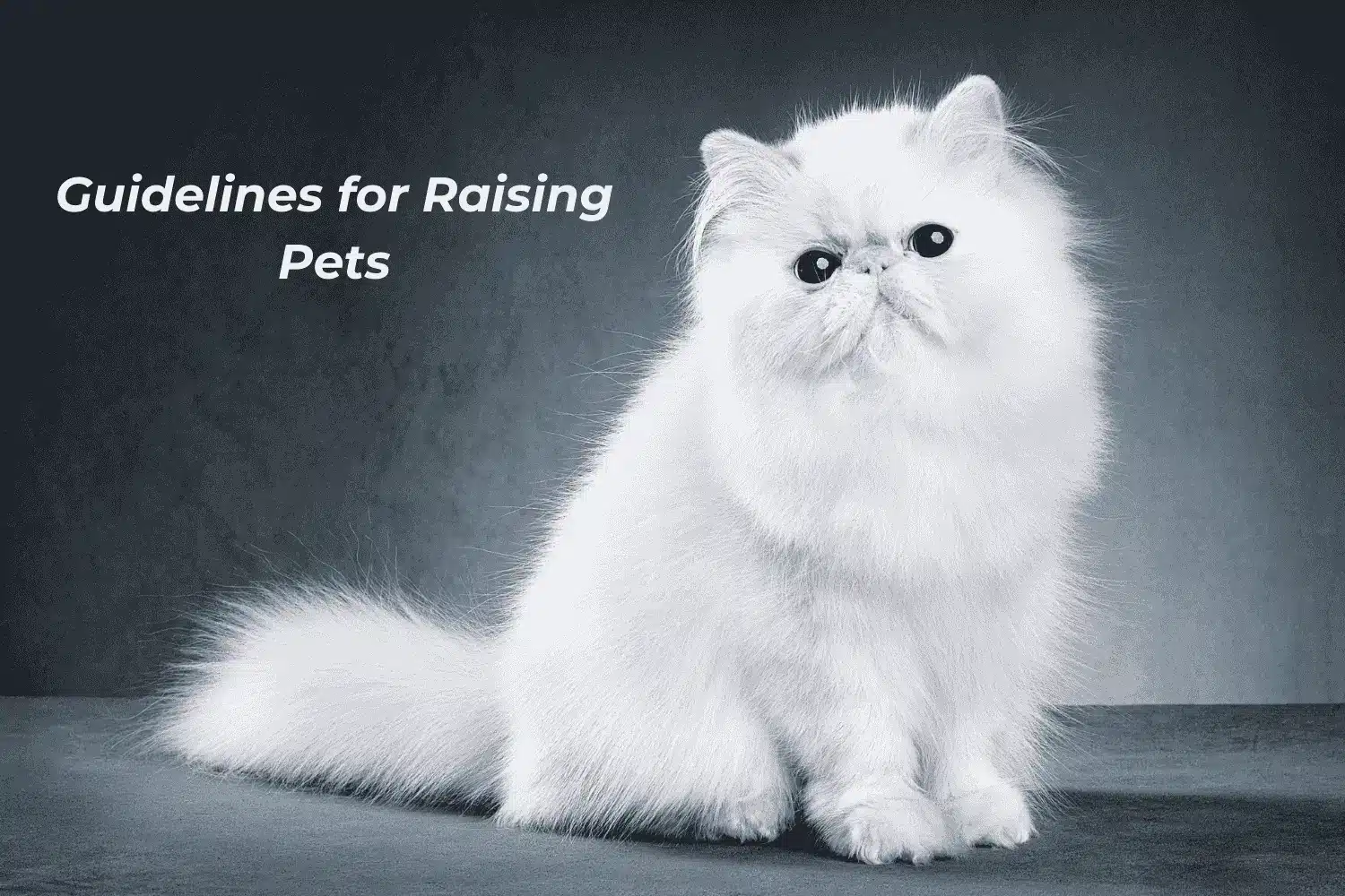 Raising Pets