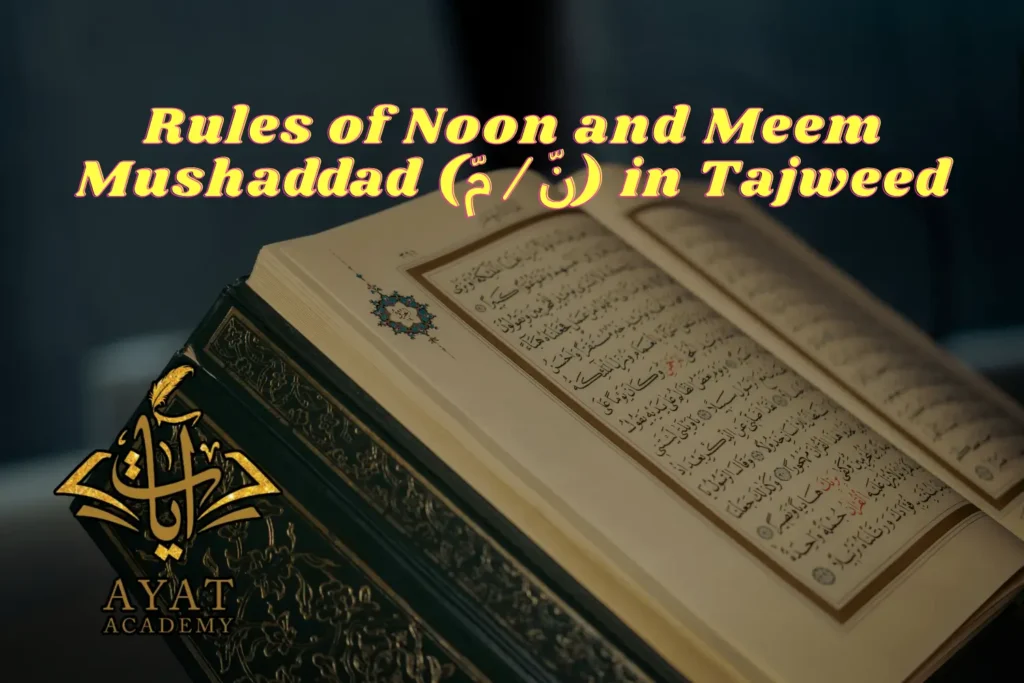 Rules-of-Noon-and-Meem-Mushaddad